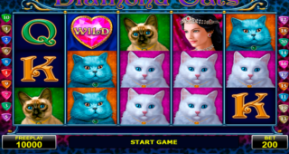 Diamond Cats