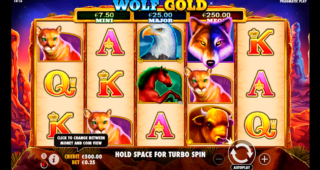 Wolf Gold