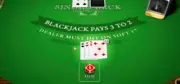 Single Deck Blackjack